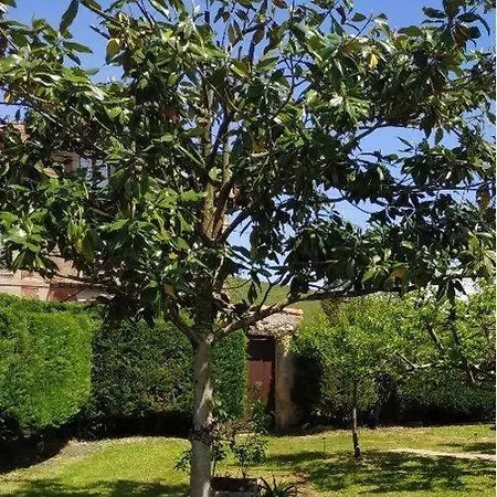 Apartamento Apto. La Magnolia Cerca De Comillas Y Playas Udias