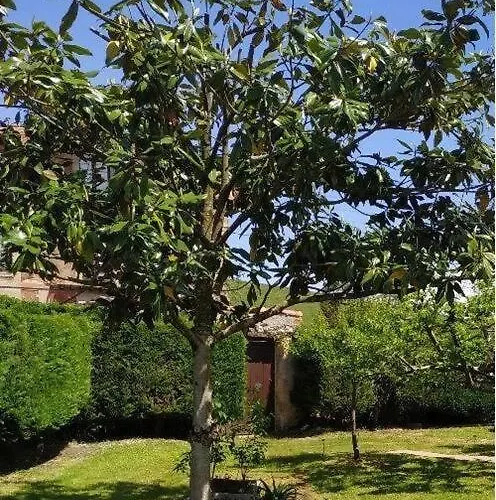 Apartman Apto. La Magnolia Cerca De Comillas Y Playas Udias